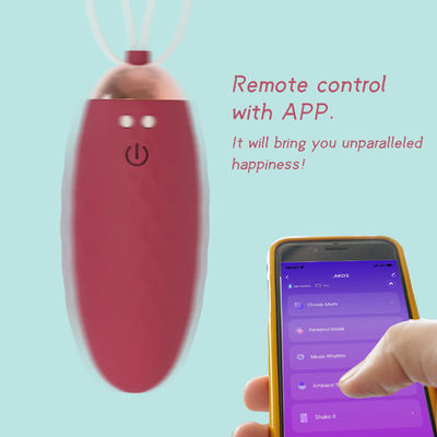 Rechargeable Bluetooth Sex Toy , Wireless Love Egg Vibrator Vagina Massage