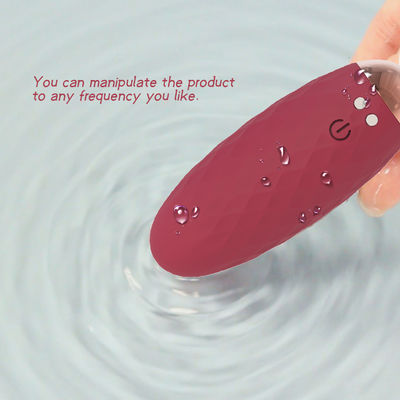 Rechargeable Bluetooth Sex Toy , Wireless Love Egg Vibrator Vagina Massage